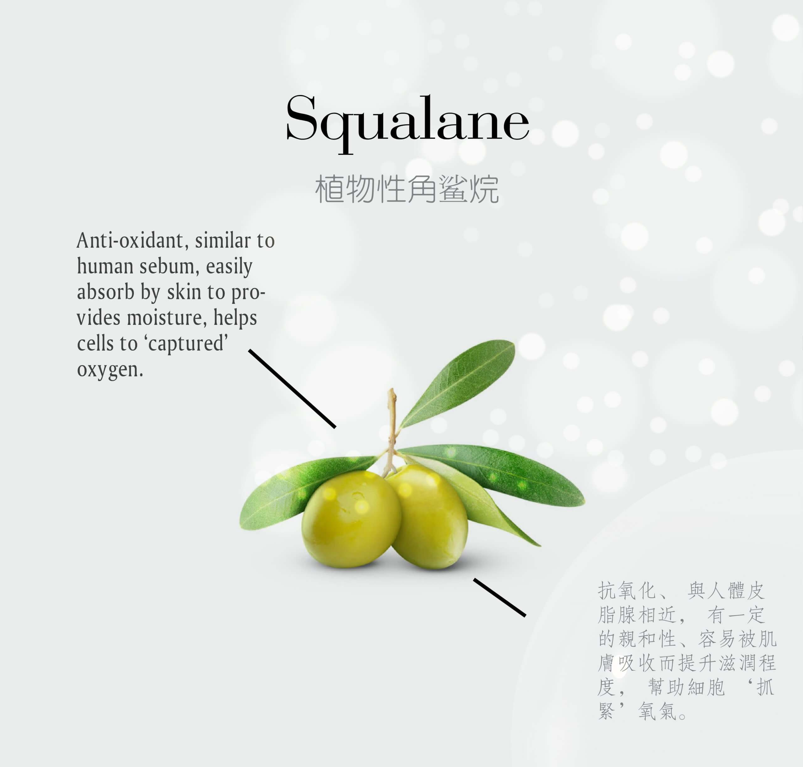 New Layut Anti Aging Cream Page 02