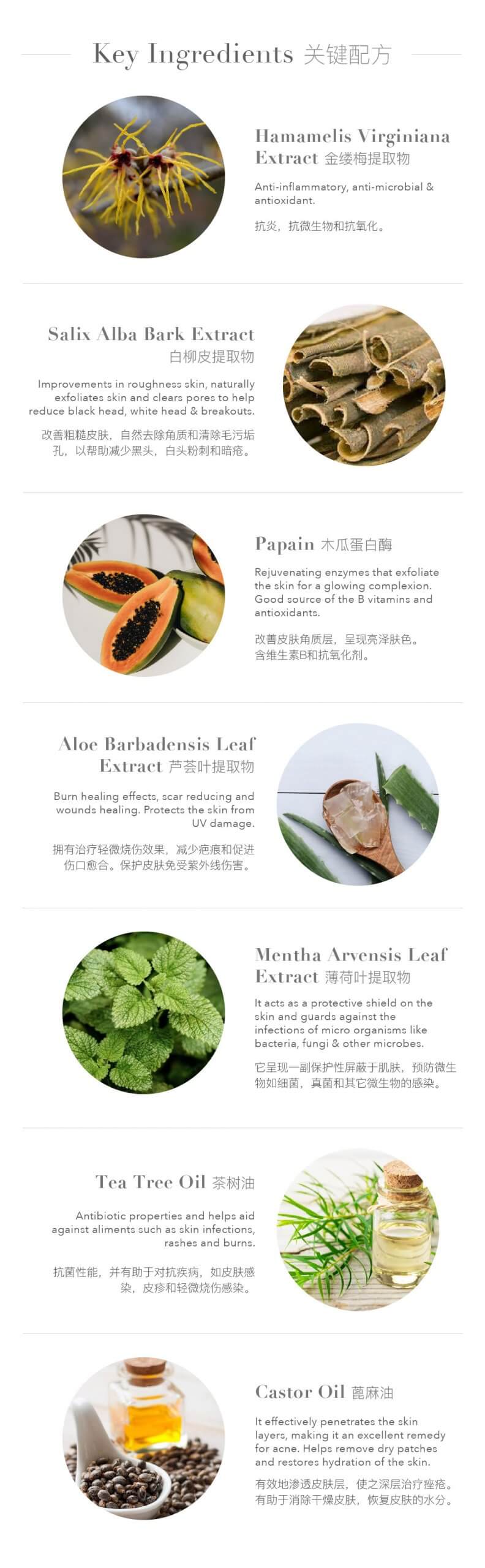 purifying series web info oil free 2