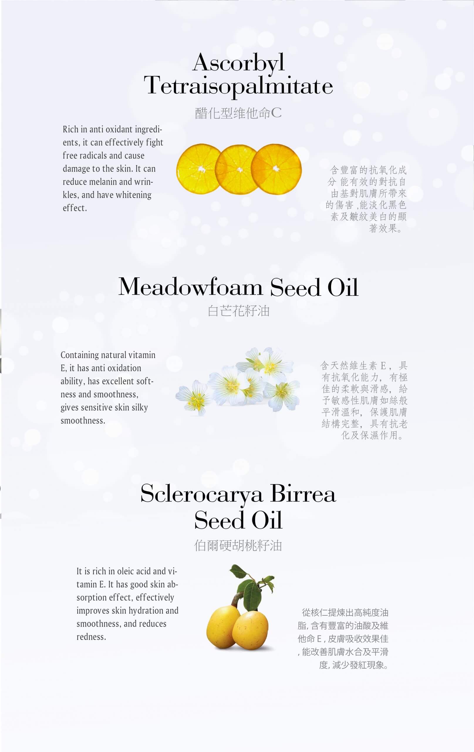 Time Revolution New 02